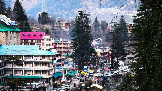 Best Stay for Backpackers in Manali
