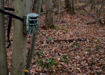 Cellular Trail Cameras