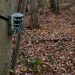 Cellular Trail Cameras