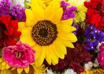 Florists in Melville NY