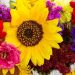 Florists in Melville NY