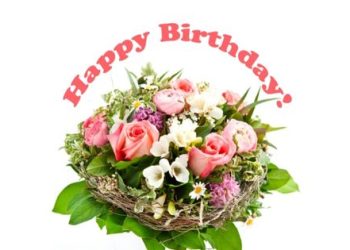 Happy Birthday Flowers Delivery Greensboro NC