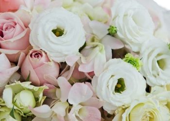Wedding Flowers