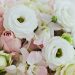 Wedding Flowers