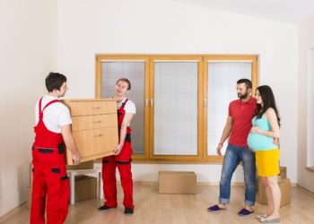 professional packers & movers
