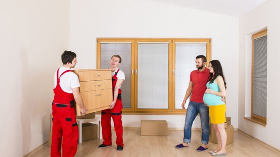 professional packers & movers
