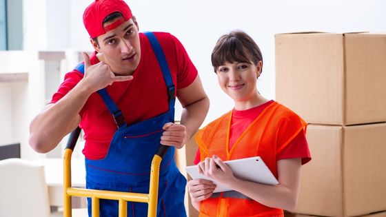 the best packers and movers