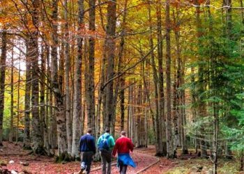 Best Weekends Treks close to urban center