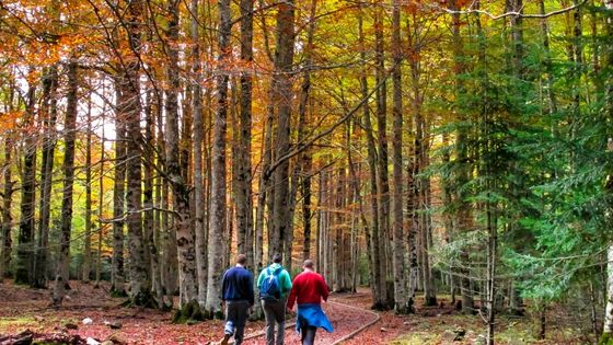 Best Weekends Treks close to urban center