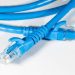 How to Choose Best Category Cat6 Plenum Ethernet Network Cables