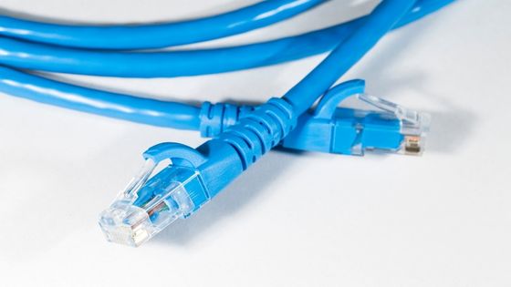 How to Choose Best Category Cat6 Plenum Ethernet Network Cables