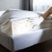How to Deal With a Bed Bug Infestation