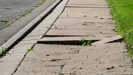 How to Repair the Damage Sidewalk