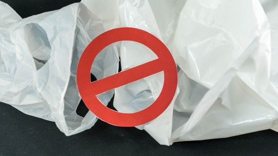 Should Plastic be Banned – An Overview