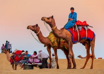 The Jaisalmer Safari is the Best Desert Safari