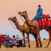 The Jaisalmer Safari is the Best Desert Safari