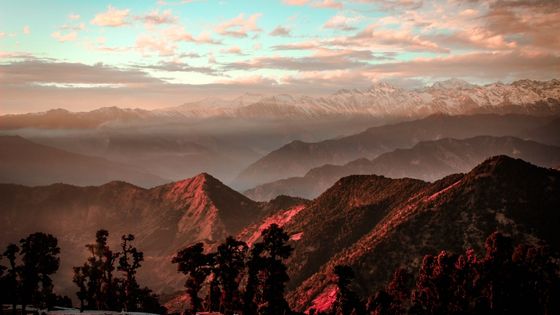 The most optimal time to visit and an outline of the Chopta trek
