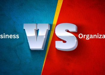 What is The Difference Between a Business and an Organization