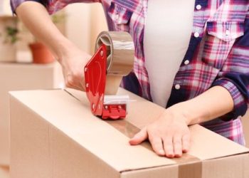 professional packers and movers