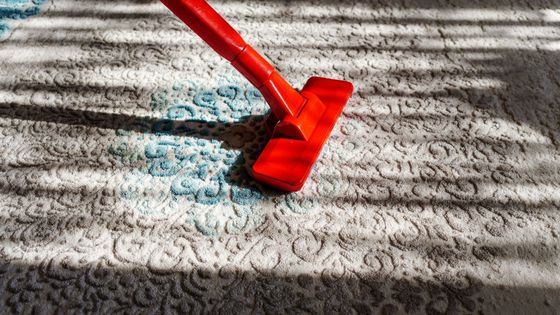 3 Reasons Why You Should Consider Using The Best Carpet Cleaning Services in Your Area