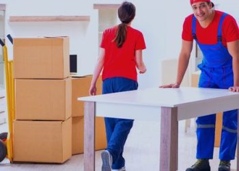 Are Professional Packers and Movers Safe to Employ for Moving to a New Place