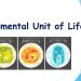 Fundamental Unit of Life - Plant & Animal Cell