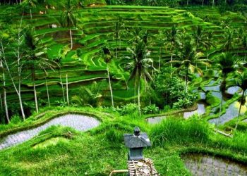 9 Best Places to Visit in Bali with Your Friends