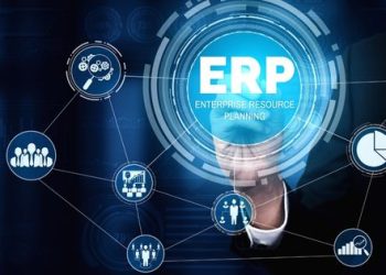 How Can ERP Software Be Customized to Maximize Profit of The Business