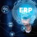 How Can ERP Software Be Customized to Maximize Profit of The Business