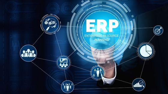 How Can ERP Software Be Customized to Maximize Profit of The Business