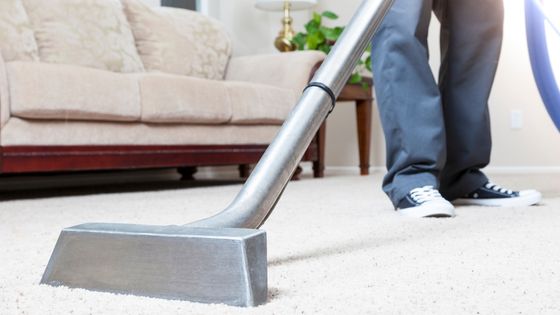 How to Pick the Best Carpet Cleaning Service Provider