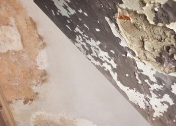 What is Dampness and How to Prevent It