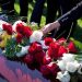Why Flowers and Plants are Essential for Funerals
