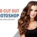 Photo Cut Out in Photoshop - The What, Why, and How